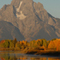 Mt Moran; Jackson, WY