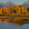 Mt Moran; Jackson, WY